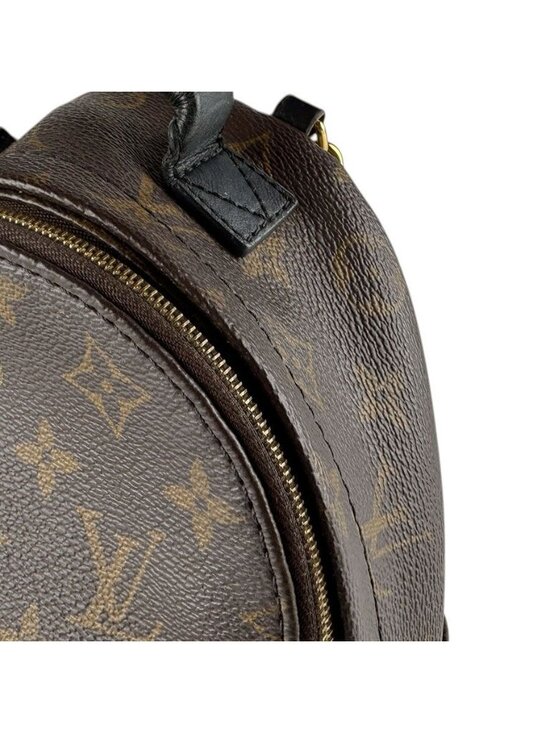 Louis Vuitton Backpack Palm Spring Mini main image 9